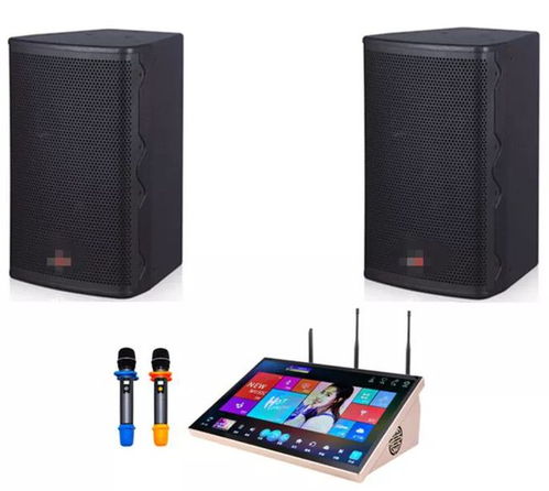 預算6千到1萬的家庭KTV音響設(shè)備選購指南